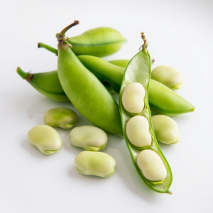 Fresh Fava Beans
